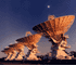 Australia Telescope Compact Arrary, Narrabri