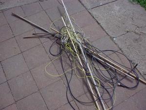 Mooooo. Tangled Mess